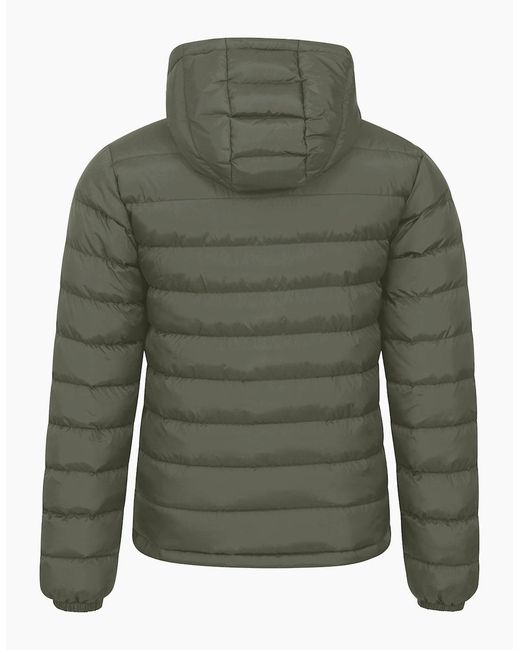 Trespass Green Ladies Elegant Jacket