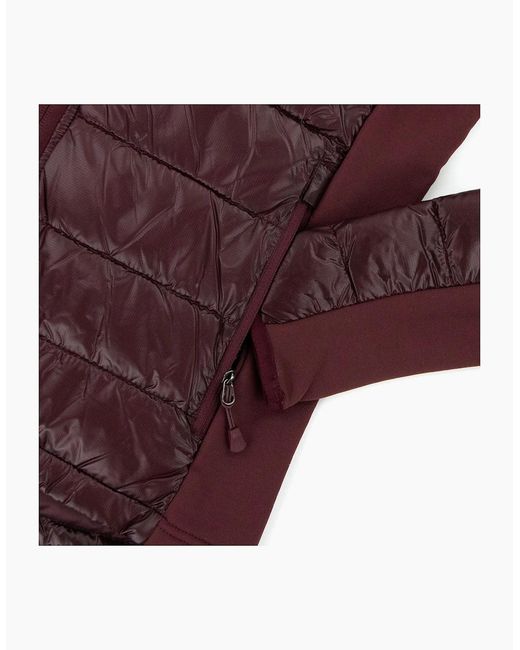 Canada Goose Purple Ladies Hybridge Lite Down Hoody Elderberry 810