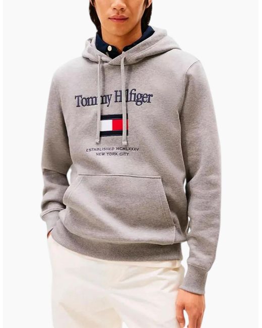 Tommy Hilfiger Gray Embroidery Flex Hoodies Casual Cotton Regular Fit New Top for men