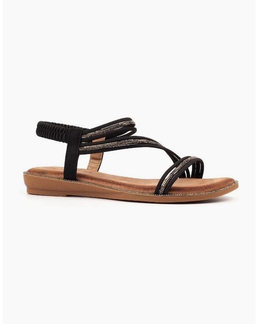 Lunar Brown Aruba Jlh532