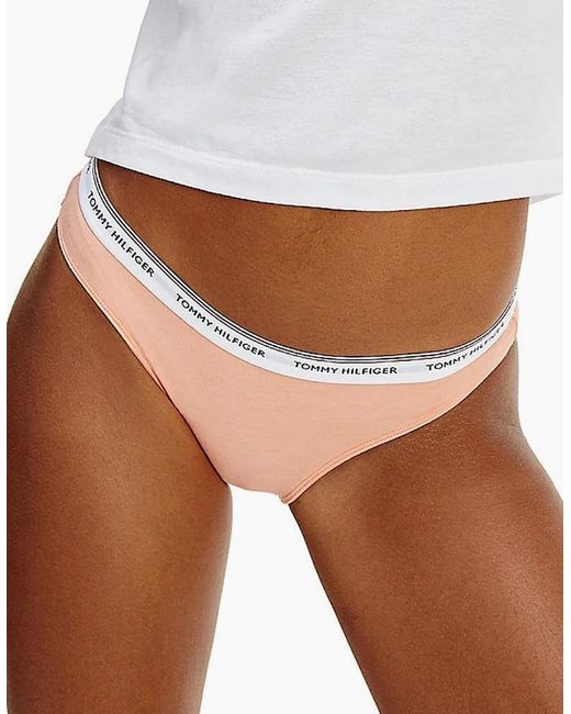 Tommy Hilfiger White Essentials 3-Pack Brief, Glacier/Rose/Papaya Punch