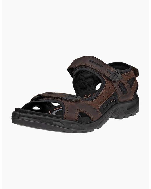 Ecco Brown Offroad Yucatan Walking Sandals for men