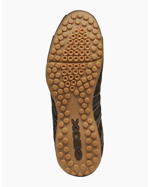 Geox Brown U Snake Original Trainers for men