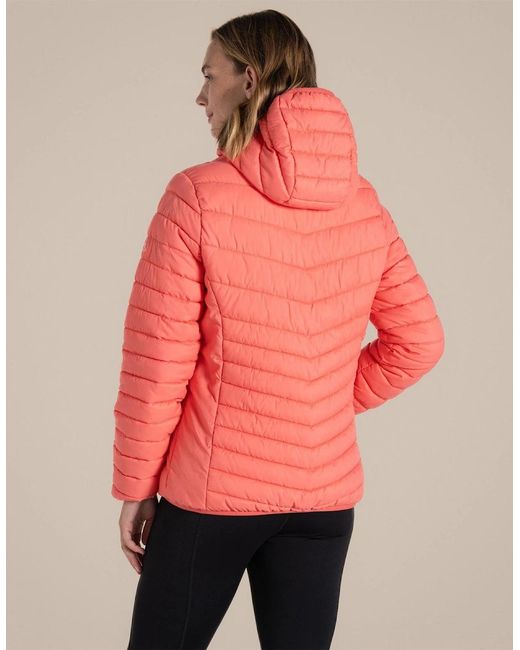 Craghoppers Red Viii Jacket Puffer Jacket