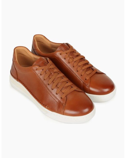 Josef Seibel Brown Cleve 02 Trainers for men