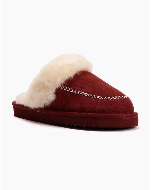 Osprey Brown London The Celeste Suede Merlot Slippers