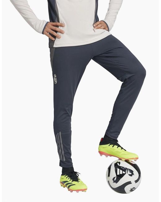 Adidas Blue Eu Tr Pnt Tracksuit Bottom for men