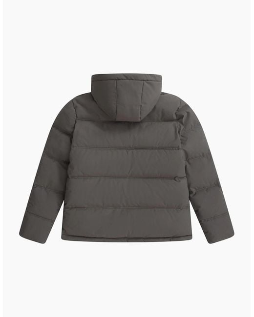 Mountain Warehouse Gray Fistral Padded Jacket for men