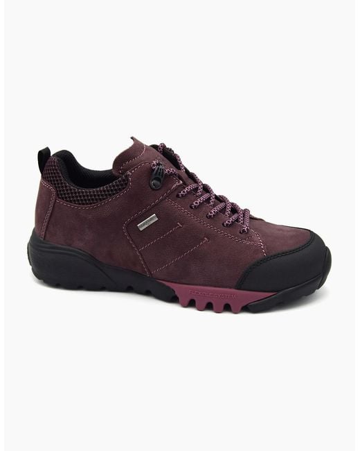 Waldläufer Purple Amiata 787952
