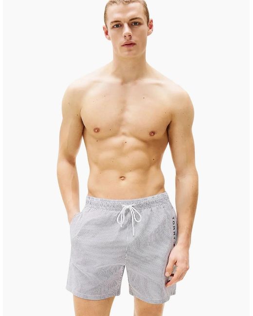 Tommy Hilfiger Gray Original Stripe Mid Length Swim Shorts, Ithaca/Desert Sky for men