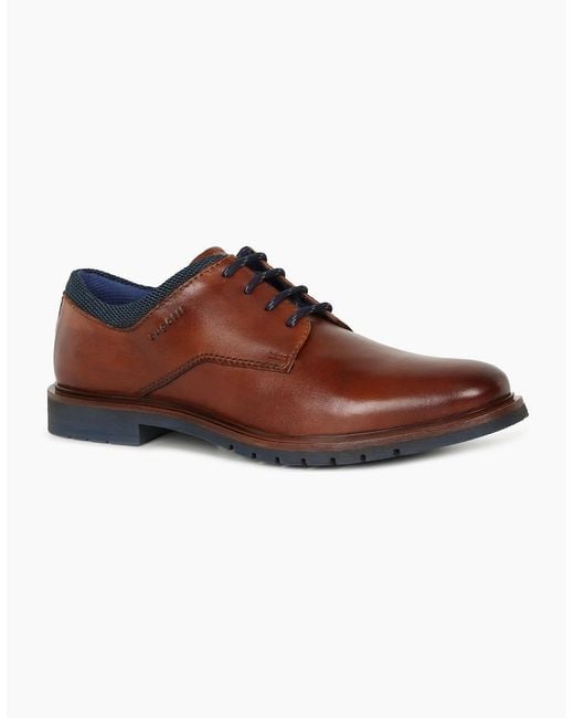 Bugatti Brown Century Shoes for men