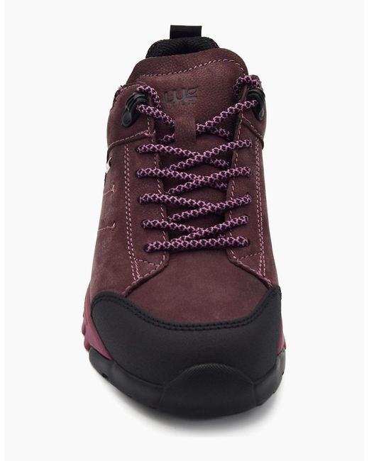 Waldläufer Purple Amiata 787952