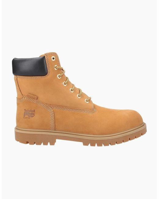 Timberland Brown Pro Iconic Safety Boots Honey for men