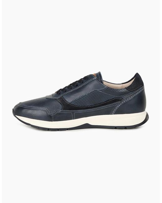 Pikolinos Blue Getafe Trainers for men