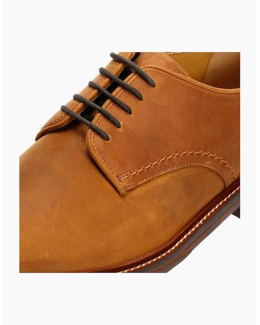 Chapman & Moore Brown Plain Derby Country Oiled Leather Tan Shoes for men