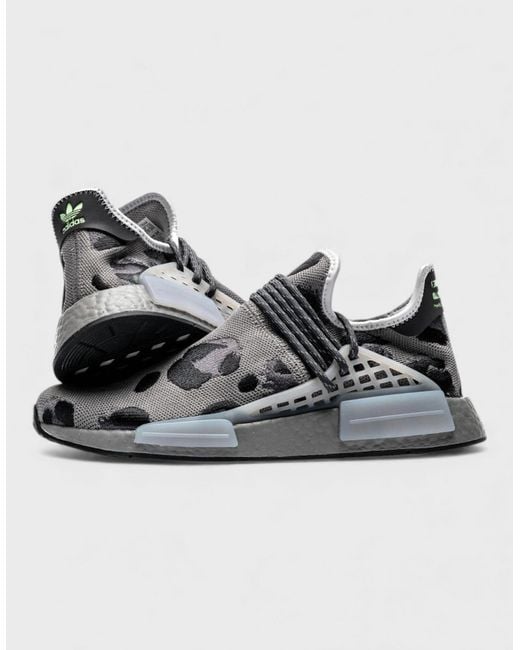 Adidas Multicolor Hu Pharrell Williams Nmd Animal Print