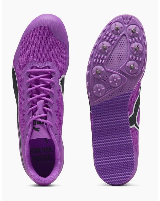 PUMA Purple Evospeed Star 9 Track Running Spikes for men