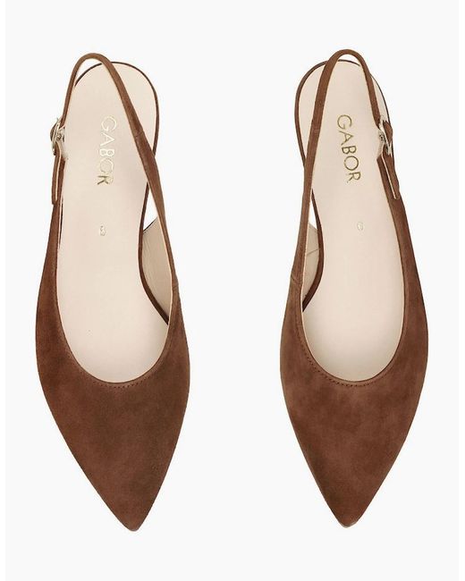 Gabor Brown Lazona Court Shoes