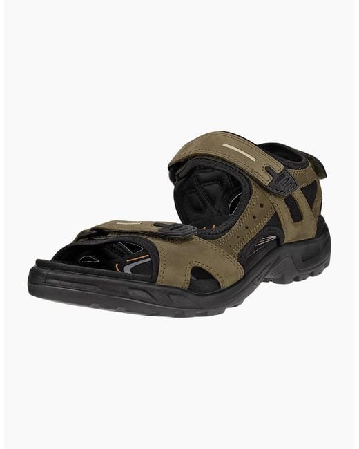 Ecco Black Offroad Yucatan Walking Sandals for men