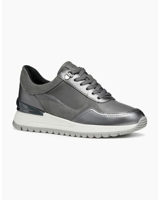 Geox Gray D Desya A Trainers
