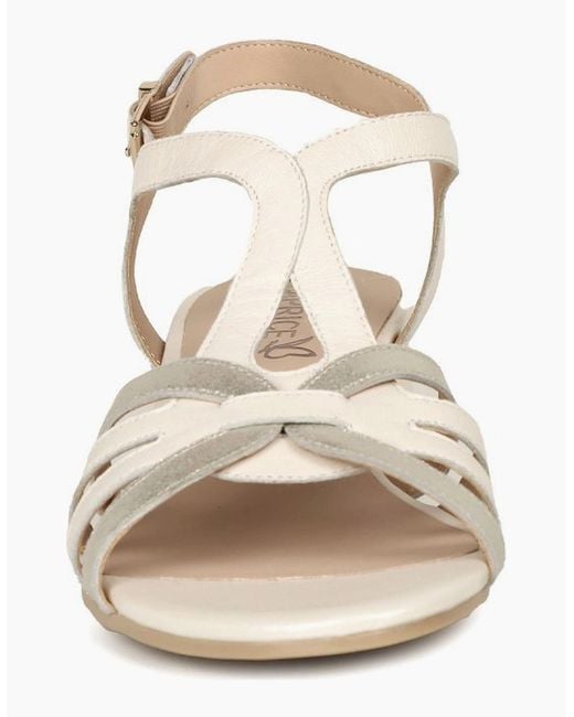 Caprice Metallic Compass Sandals