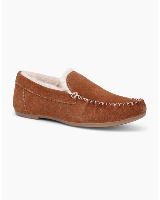 Hotter Brown Dreams Slippers