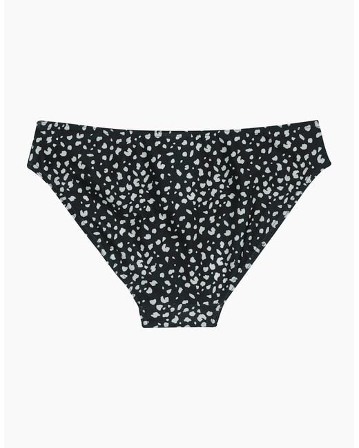 Regatta Black Ladies Aceana Polka Dot Bikini Bottoms