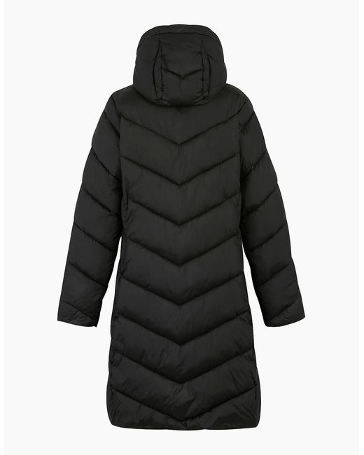 Regatta Black Ladies Anita Padded Jacket