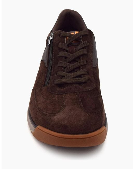 Waldläufer Brown Carlo 567001 for men