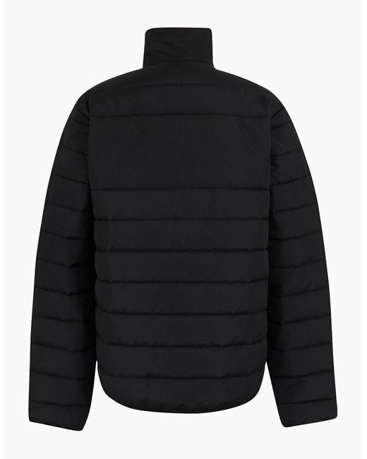 Regatta Black Professional Essential Thermal Padded Jacket for men