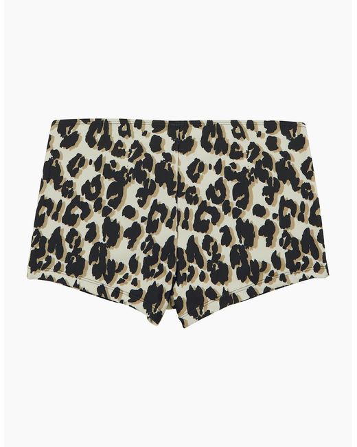 Regatta Black Ladies Aceana Leopard Print Bikini Shorts