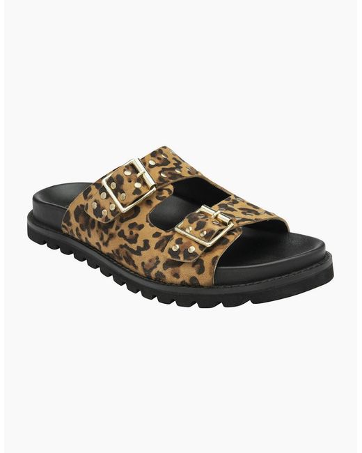 Lotus Brown Conti Sandals
