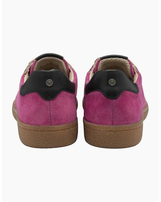Lotus Purple Frapporta Trainers