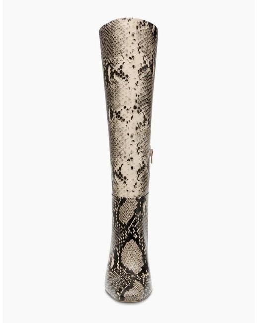 Steve Madden Multicolor Knee High Block Heel Boots With Zipper