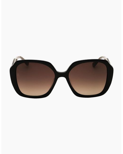 Tommy Hilfiger Brown Gradient Sunglasses
