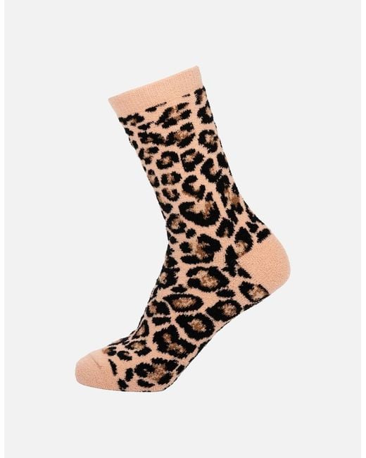 Trespass White Ladies Aryash Socks (Pack Of 2)