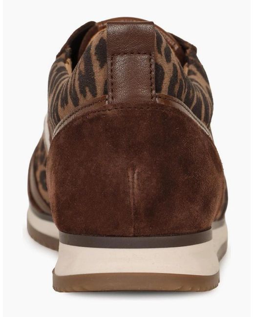 Gabor Brown Secret Trainers