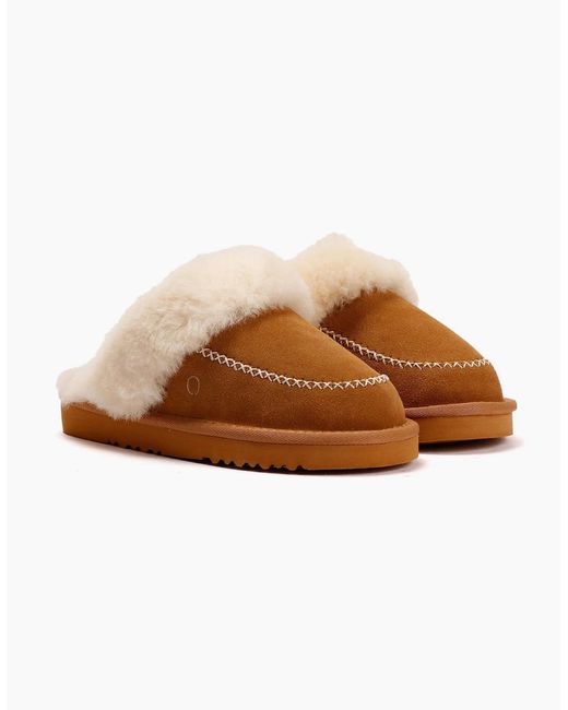 Osprey White London The Celeste Suede Chestnut Slippers
