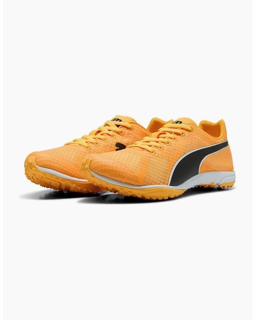 PUMA Orange Evospeed Haraka 8 Off Road Trail Running Shoes for men