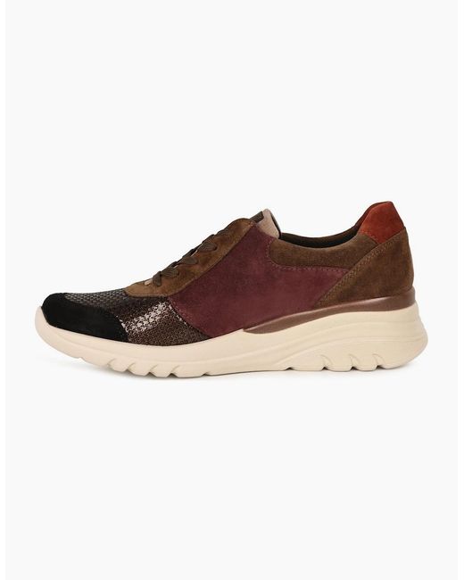 Waldläufer Brown Carla Trainers