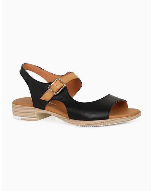 Paula Urban Brown St Tropez Sandals