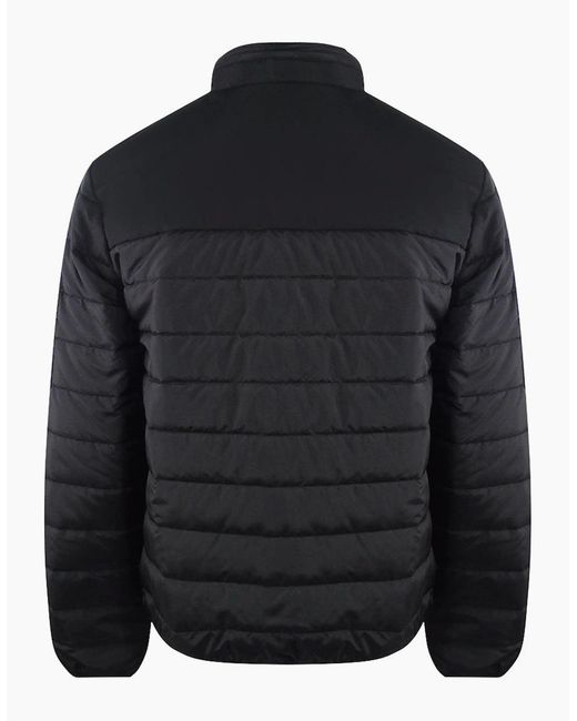 Iceberg Blue Ice Padded Jacket for men