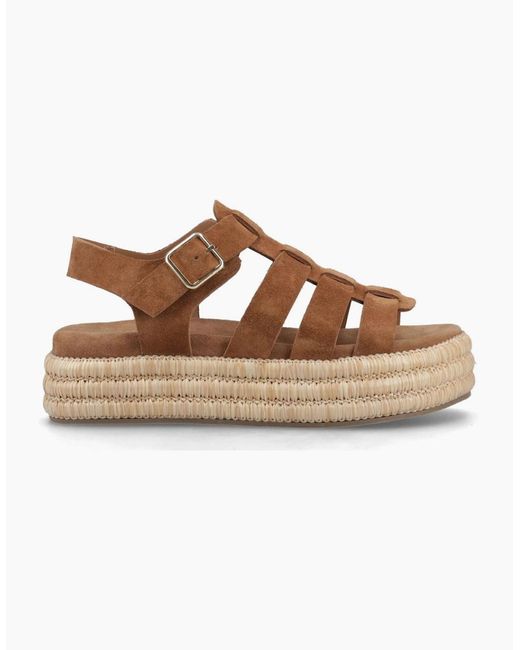 Hush Puppies Brown Rosetta Gladiator Sandals