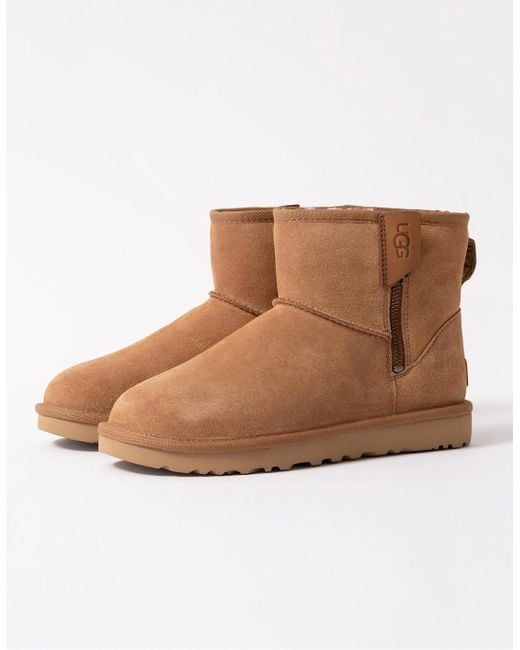 Ugg Brown Classic Mini Bailey Zip Boot