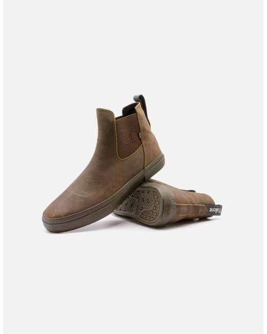Globe Brown Kalahari Dover X Wasted Talent Shoes for men
