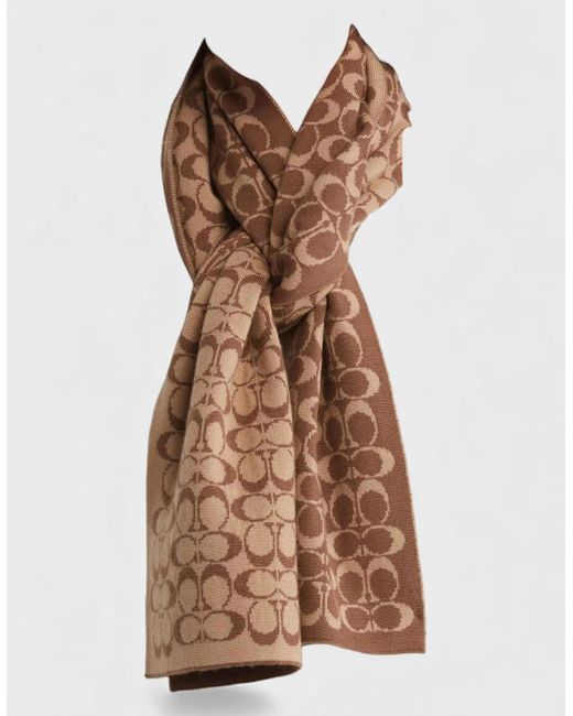 COACH Brown Signature Scarf Khaki