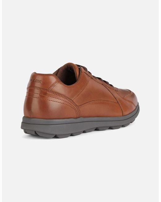 Geox Brown U Spherica Ec12 Shoes for men
