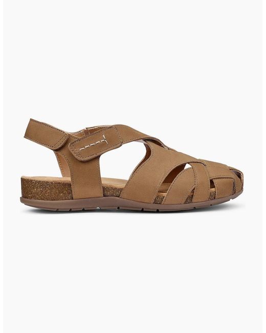Hotter Brown Carpa Wide Fit Sandals