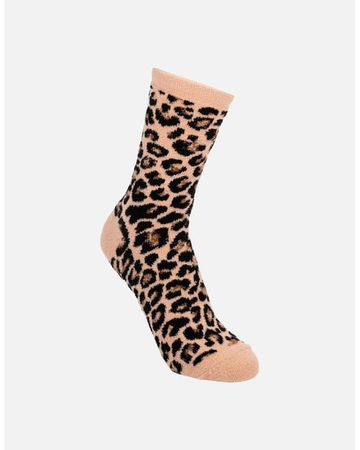 Trespass White Ladies Aryash Socks (Pack Of 2)
