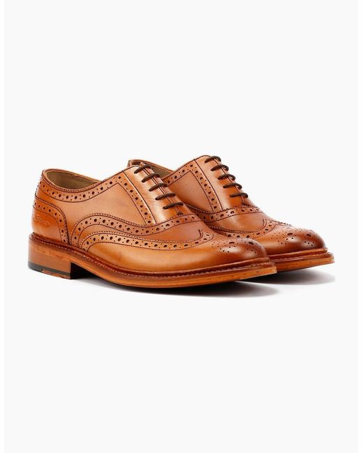 Ben Sherman Brown Sugarman Brogue Leather Tan Lace-Up Shoes for men